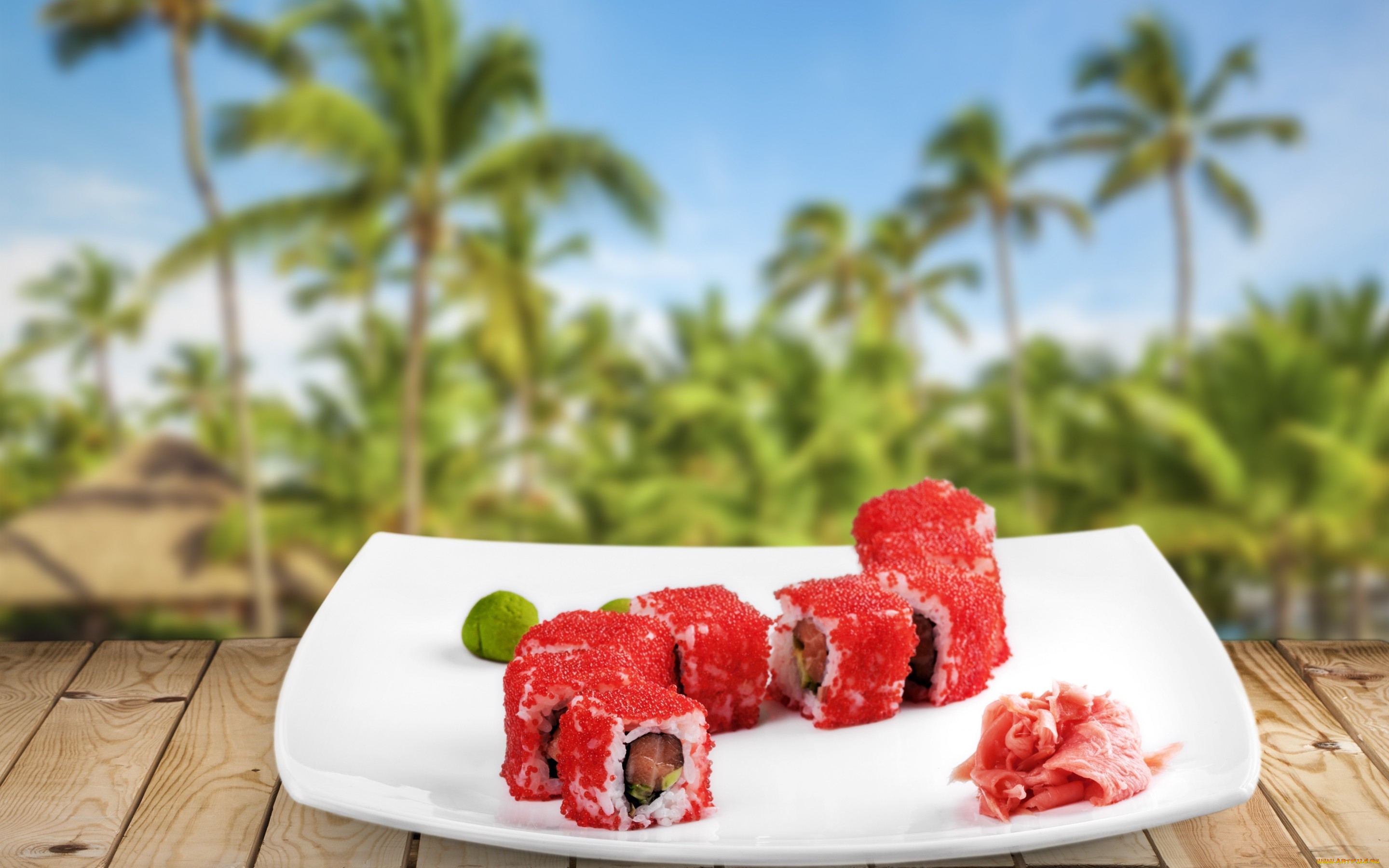 , ,  ,  ,  , , , japanese, seafood, sushi